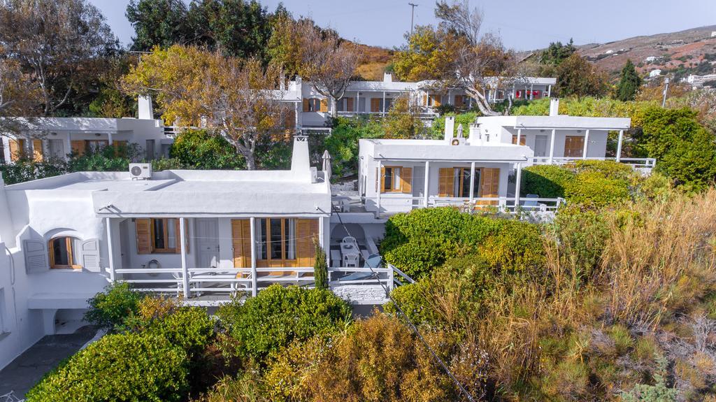 Irene'S Villas Ándros 外观 照片