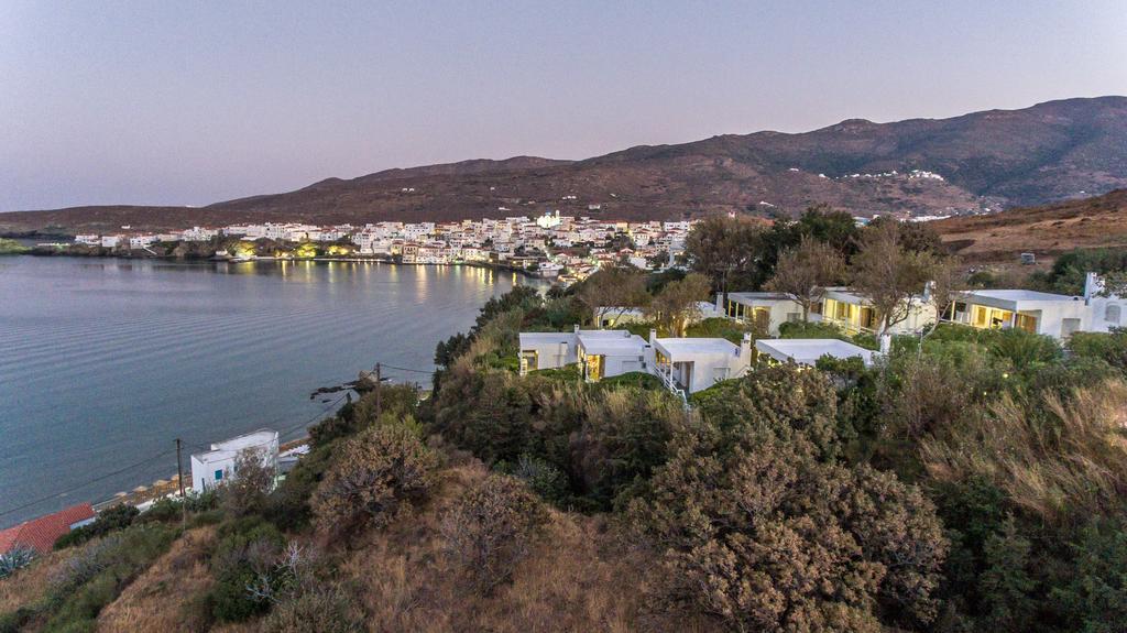 Irene'S Villas Ándros 外观 照片