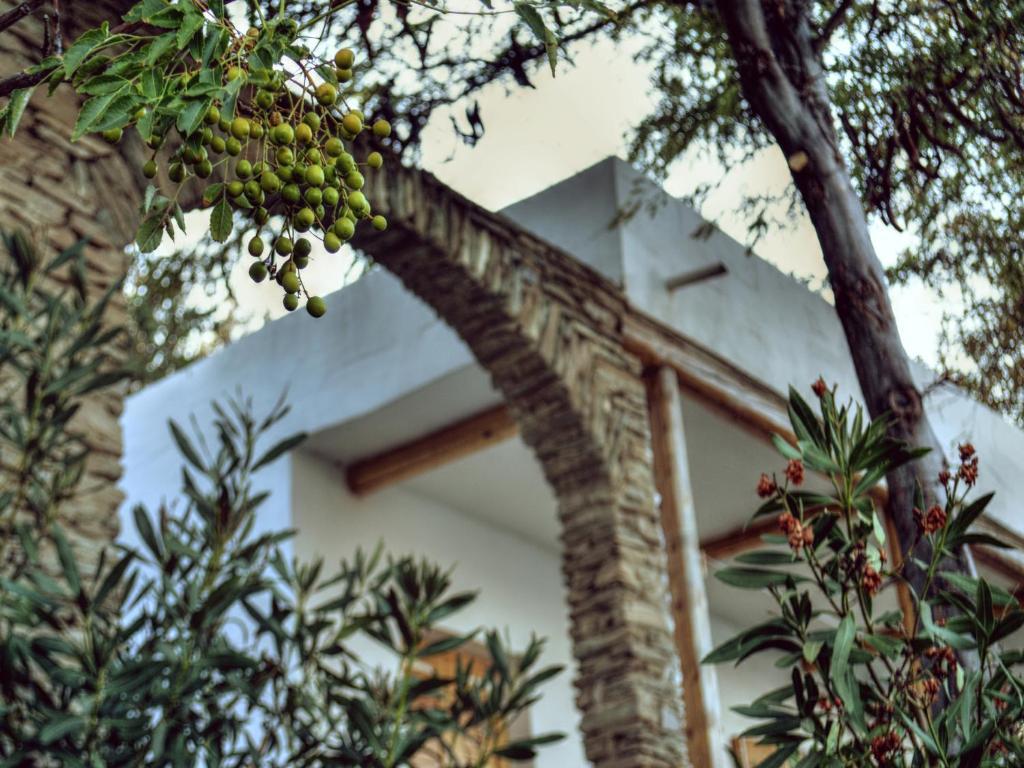 Irene'S Villas Ándros 外观 照片